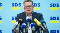 Zvone Černač, SDS