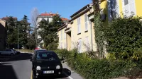 Koper, 15.02.2017Olmo Pahorjeva ulica, palme, palma