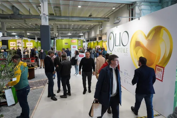 olio capitale