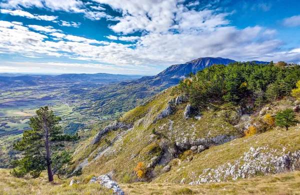 Jesen jesenske barve Gora, Otlica