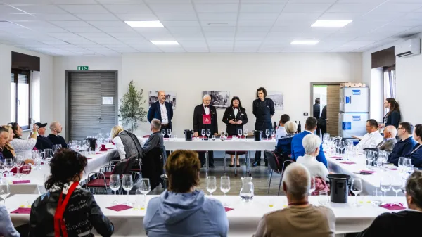 Jutri bo v &Scaron;empasu Festival oljčnega olja in vin