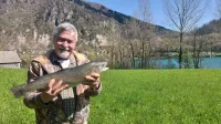 So&scaron;ka postrv ni več ogrožena, z lipanom bo &scaron;e veliko dela