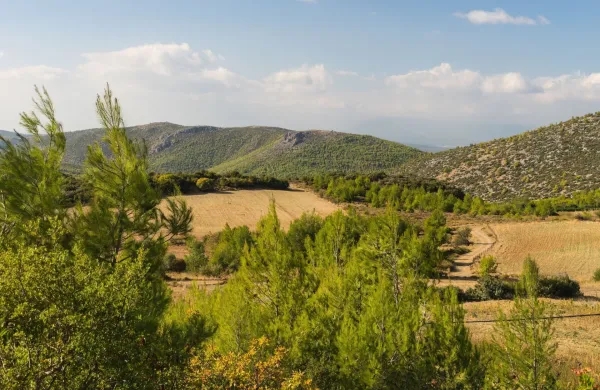 Zaradi &scaron;kandala je gr&scaron;ka vlada že lani ukinila agencijo, ki je bila odgovorna za dodeljevanje kmetijskih subvencij.