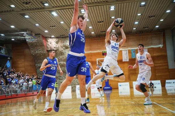 Ko&scaron;arkarji Nove Gorice in Ilirske Bistrice