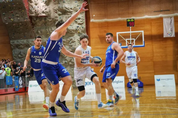 Ko&scaron;arkarji Nove Gorice in Ilirske Bistrice