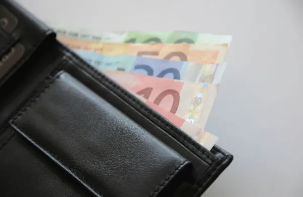 denar bankovci euro evro denarnica
