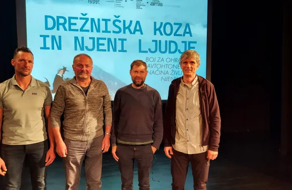 Kljub muhavosti drežni&scaron;ka koza rejcem zleze pod kožo