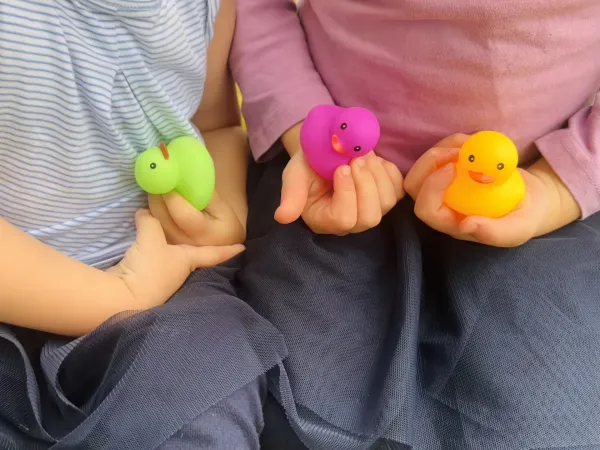 Zakaj pridevnike razvr&scaron;čamo v določenem vrstnem redu, čeprav pravil ne poznamo zavestno?