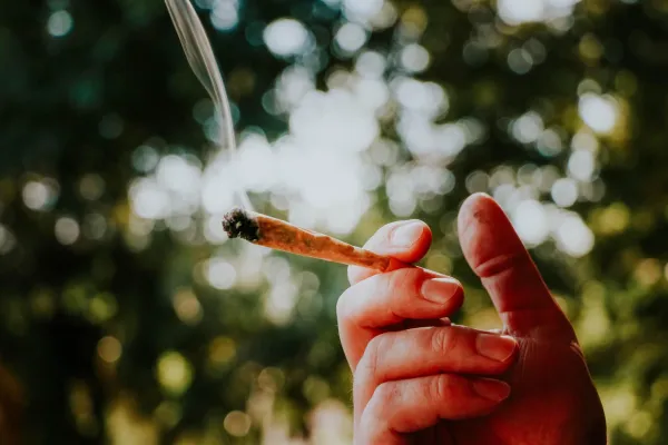 marihuana joint kajenje