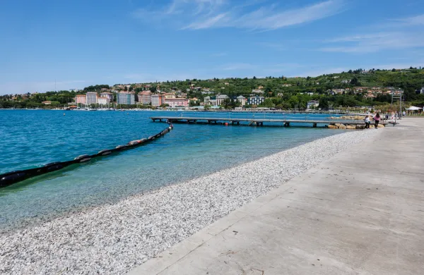 So&scaron;ki prod v Portorožu brez zadržkov naravovarstvenikov