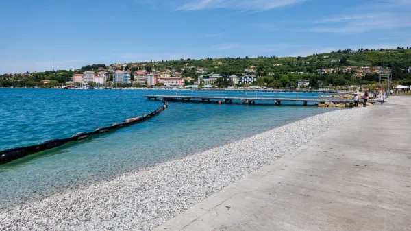 So&scaron;ki prod v Portorožu brez zadržkov naravovarstvenikov