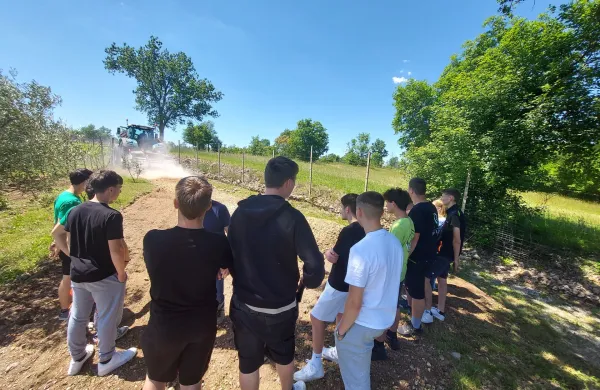 Na Primorskem kmetijskem sejmu več kot 80 razstavljalcev