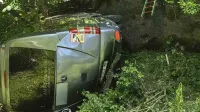Minibus s 14 potniki je v Predjami zgrmel čez zid.