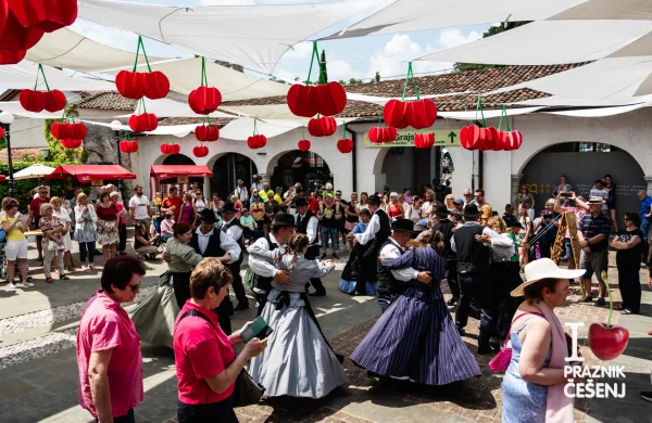 Praznik če&scaron;enj bo v Brdih povezal tradicijo, ustvarjalnost in dedi&scaron;čino