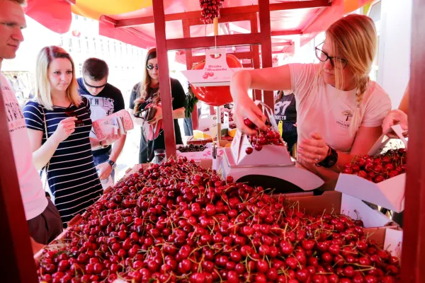Praznik če&scaron;enj bo v Brdih povezal tradicijo, ustvarjalnost in dedi&scaron;čino