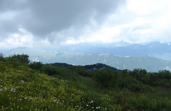 Matajur 1641 m mejna gora Italija Slovenija Benečija Livek Avsa julij 2018 Kobari&scaron;ki Stol greben