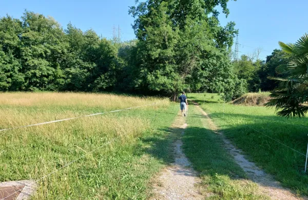 V Vrtojbi bodo uredili botanični park, kot ga pri nas &scaron;e ni