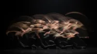 Znotraj - Onkraj