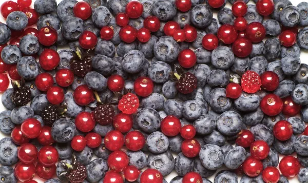 Mix of berry fruits - full frame,Image: 90038021, License: Rights-managed, Restrictions:, Model Release: no, Credit line: Afis/Digifoodstock/Profimedia