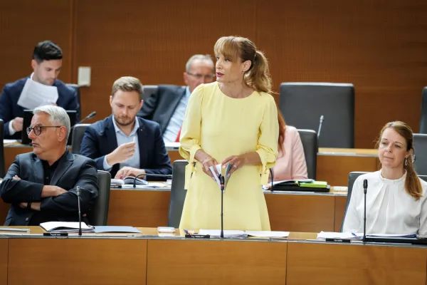 Meira Hot iz poslanske skupine SD meni, da odprava vinjetne obveznosti ne bi smela biti razlog za spremembo statusa prometnice.