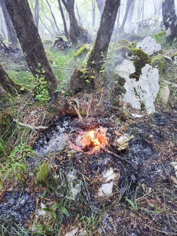 požar palčje 