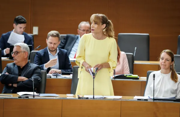 Meira Hot iz poslanske skupine SD meni, da odprava vinjetne obveznosti ne bi smela biti razlog za spremembo statusa prometnice.