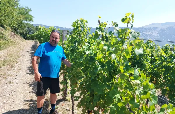 Temperaturni rekordi na Primorskem: ko se življenje podnevi skoraj ustavi