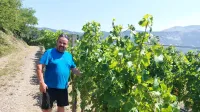Temperaturni rekordi na Primorskem: ko se življenje podnevi skoraj ustavi