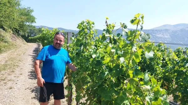 Temperaturni rekordi na Primorskem: ko se življenje podnevi skoraj ustavi