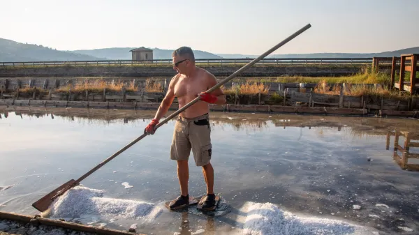 Rastejo prvi kupčki piranske soli