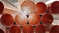 V Rožni Dolini ponovno kradli žlebove z objekta javnega zavoda