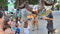 PUF festival Koper 2026