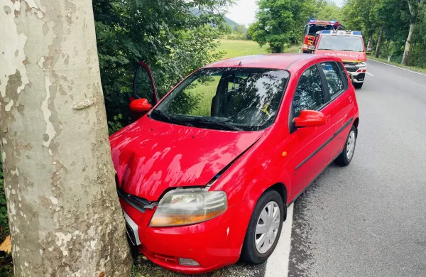 Bač pri Materiji: z avtom naravnost v drevo