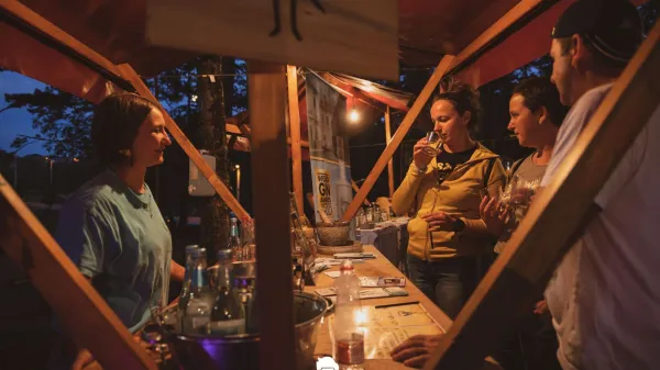 Brin in Gin festival dutovlje 2023