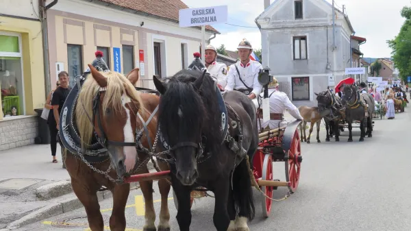 Furmanski praznik Postojna