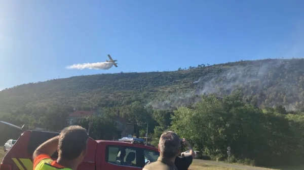 V sobotnem požaru v Brestovici pri Komnu je po prvih ocenah zavoda za gozdove pogorelo dobrih 16 hektarov gozda.