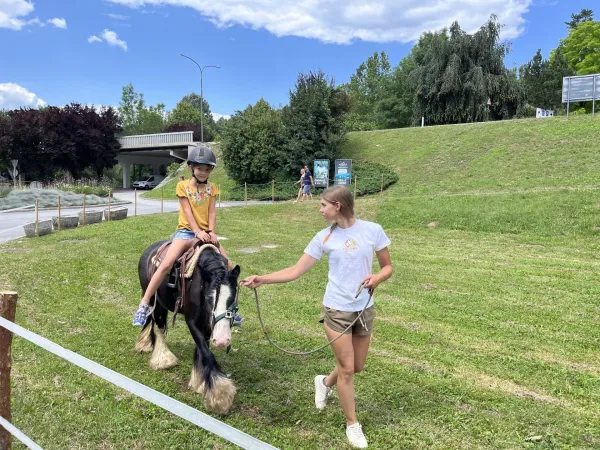 furmanski praznik 2026 postojna