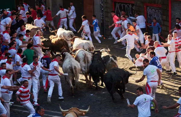 Festival San Fermin v Pamloni, ki je najbolj znan po teku pred biki.