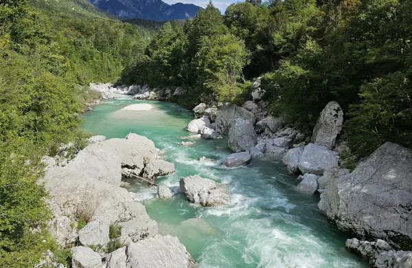 Reka Soča v Zgornjem Posočju