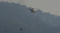 Helikopter med ga&scaron;enjem gozdnega požara