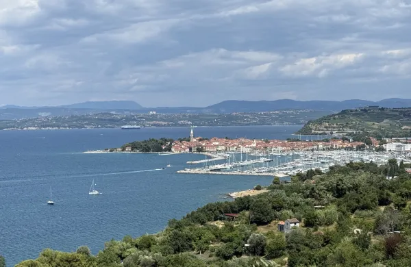 Zamisel o plinskem terminalu razburja tudi Izolanke in Izolane