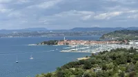 Zamisel o plinskem terminalu razburja tudi Izolanke in Izolane