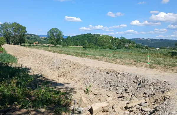 Nasip med &Scaron;alaro in Tribanom bo zatravljen, dostop nanj pa bo mogoč