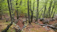 Planinca iz Postojne i&scaron;čejo že od sobote