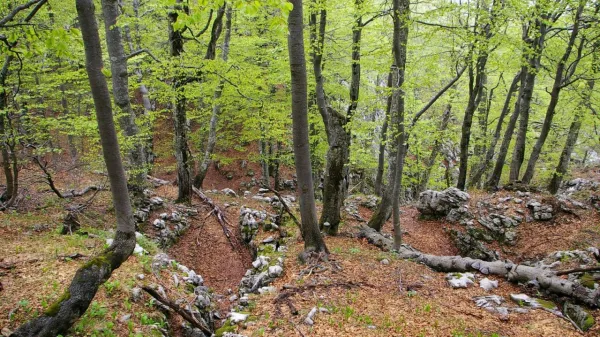 Planinca iz Postojne i&scaron;čejo že od sobote