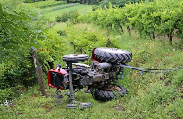 Tragična smrt v vinogradu