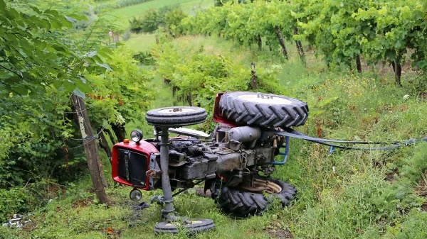 Tragična smrt v vinogradu