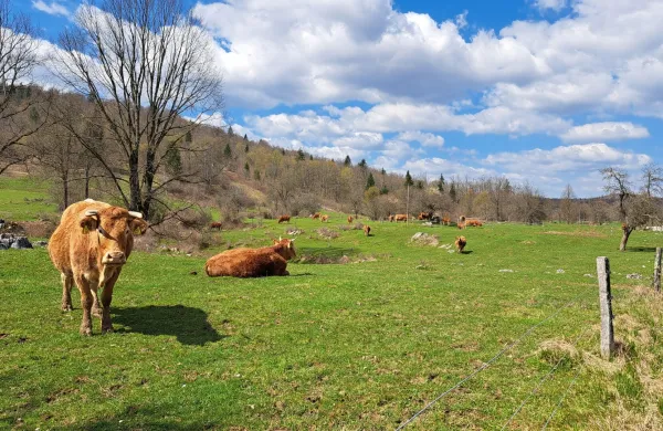 Sklad kmetijskih zemlji&scaron;č in gozdov v vlogi skrbnika slovenske zemlje