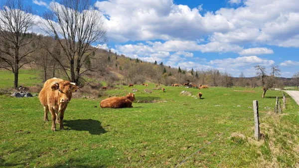 Sklad kmetijskih zemlji&scaron;č in gozdov v vlogi skrbnika slovenske zemlje