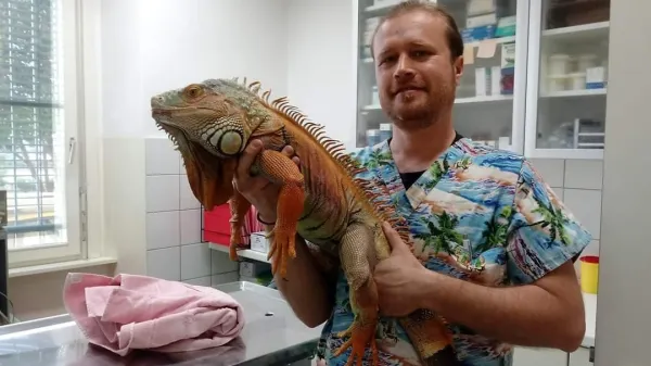 Dr. Peter Maričić z legvanom